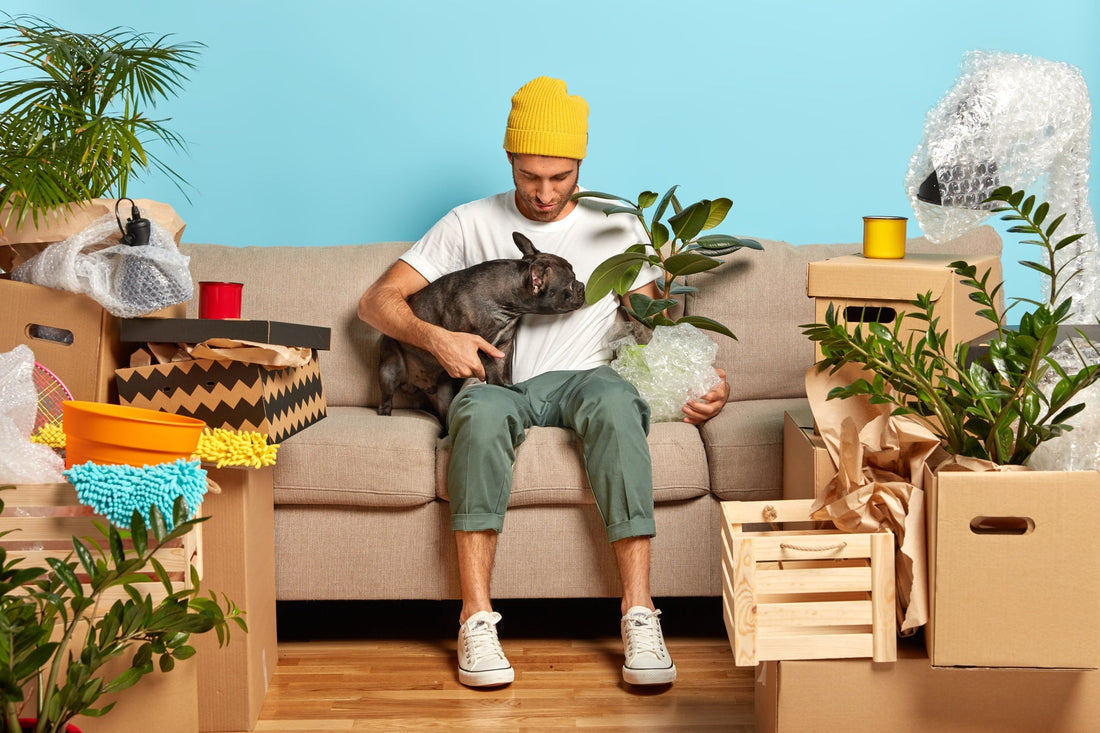 More Than Pets: Why We Started Prime Finds Co.