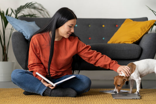 A New Pet at Home? Here's What They Really Need