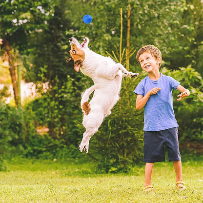 Durable Rubber Dog Ball