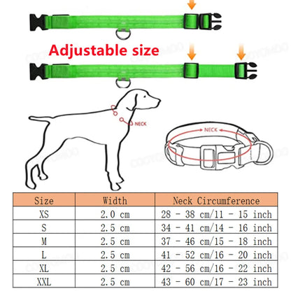 Rechargeable LED Collar
