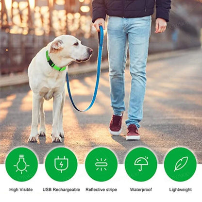 Rechargeable LED Collar