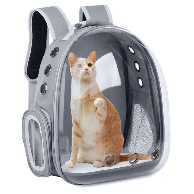 Breathable Transparent Backpack