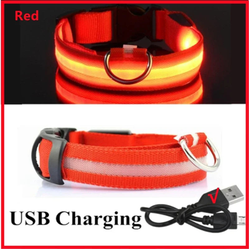 Rechargeable LED Collar