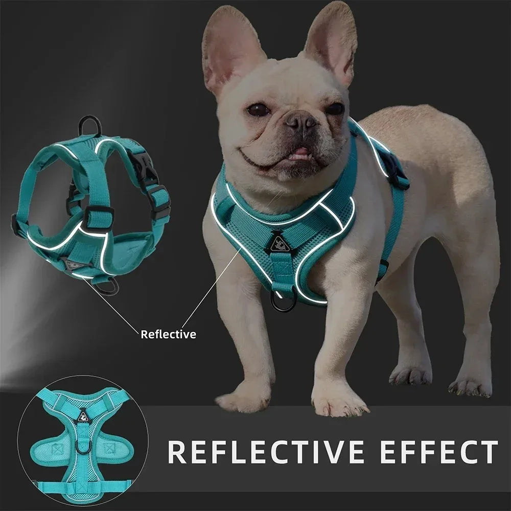 Adjustable No Pull Harness Leash Set