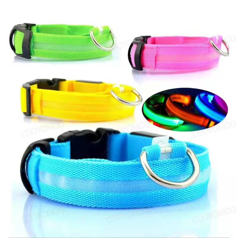 Rechargeable LED Collar