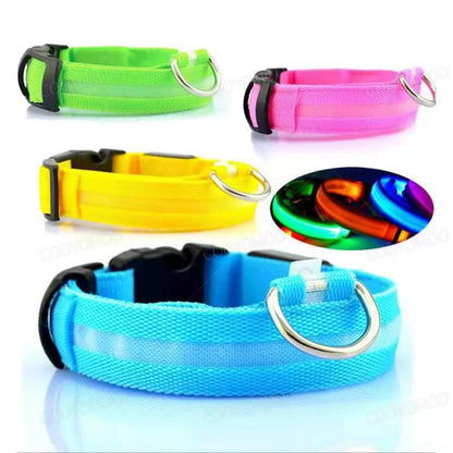 Rechargeable LED Collar