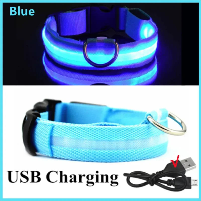 Rechargeable LED Collar