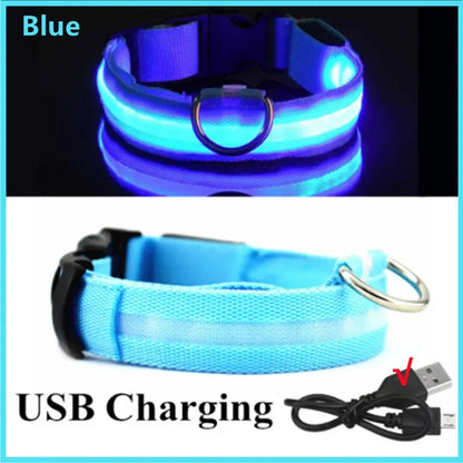 Rechargeable LED Collar