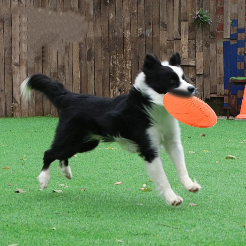 Silicone Flying Disc Toy