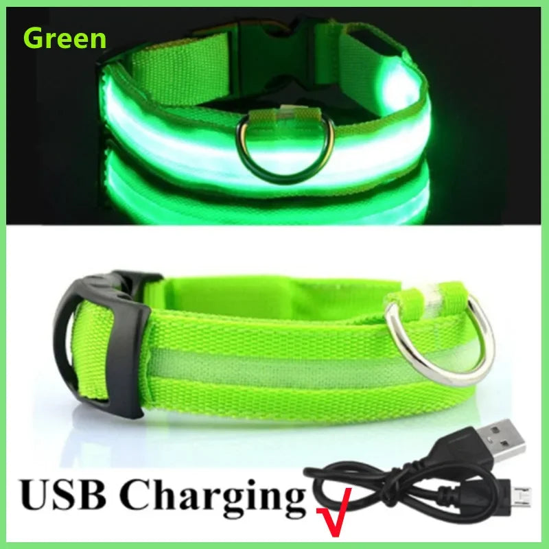 Rechargeable LED Collar