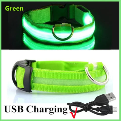 Rechargeable LED Collar