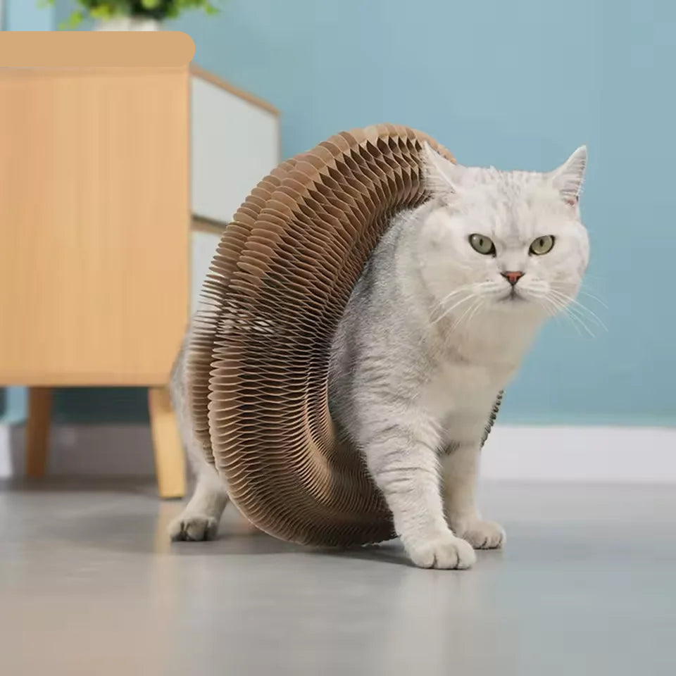 Corrugated Scratching Board