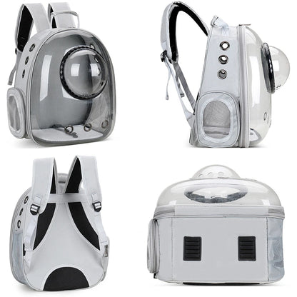 Breathable Transparent Backpack