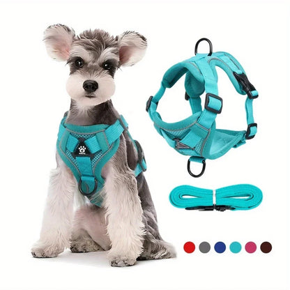 Adjustable No Pull Harness Leash Set