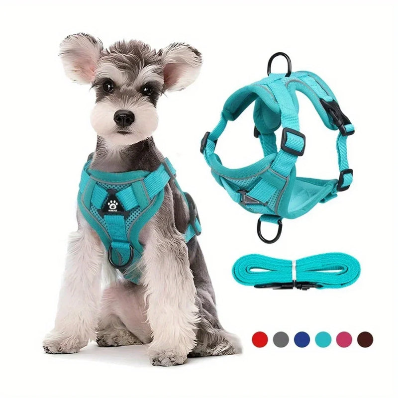 Adjustable No Pull Harness Leash Set