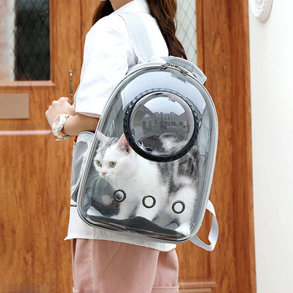 Breathable Transparent Backpack