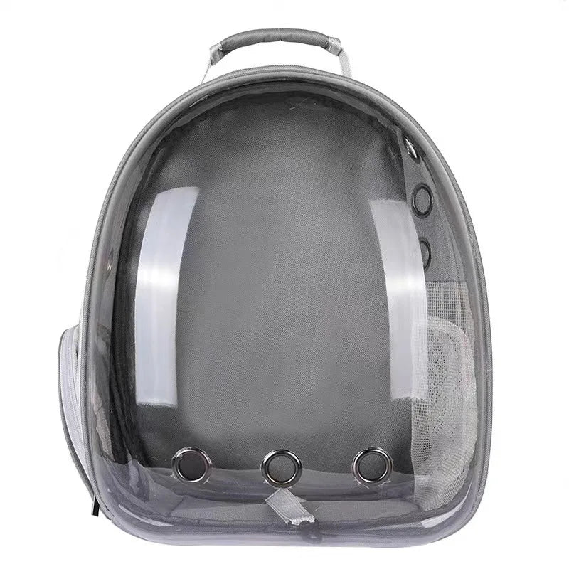Breathable Transparent Backpack