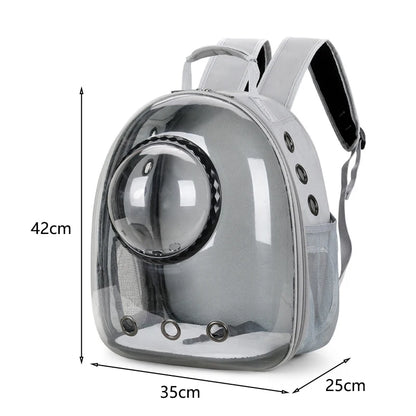 Breathable Transparent Backpack