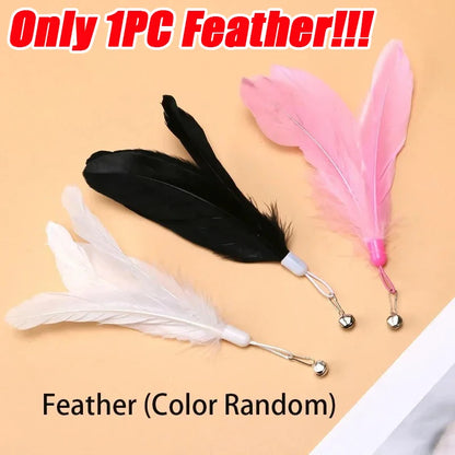 Teaser Pole Feather Bell Suction Cup Interactive Toy