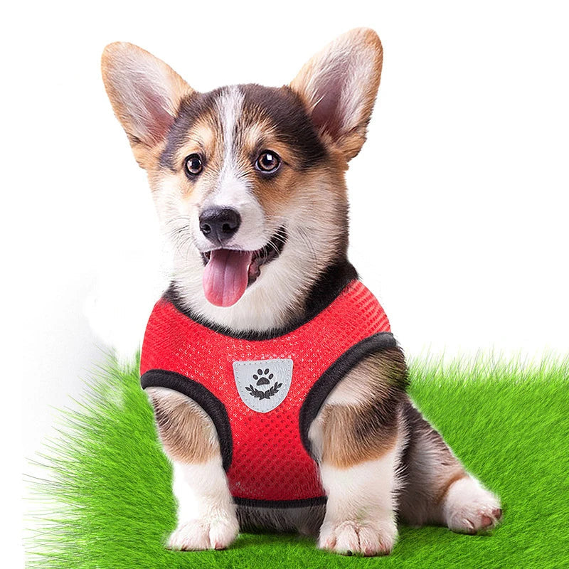 Adjustable Mesh Vest