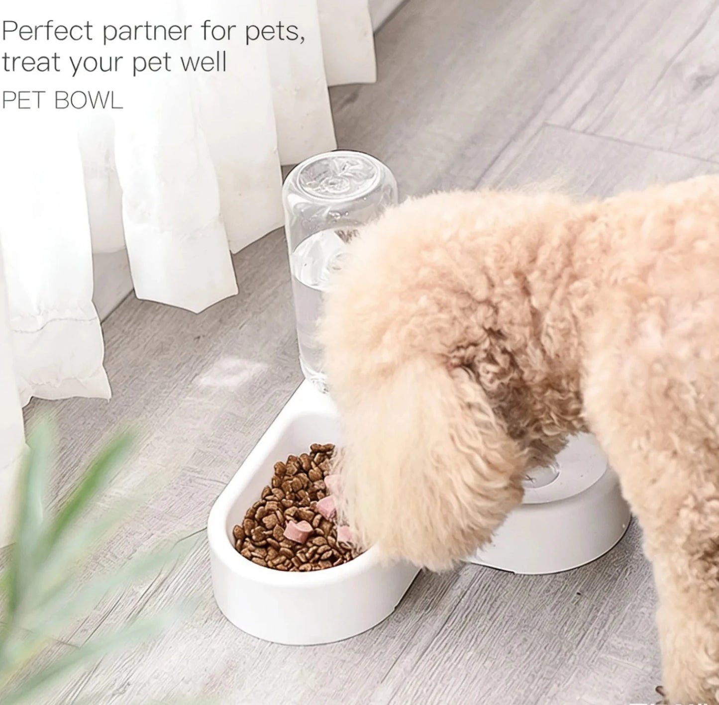 Double Feeding Bowl Set