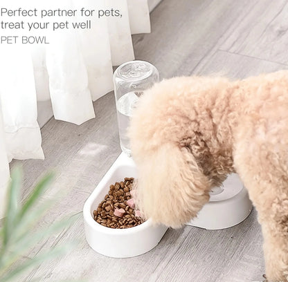 Double Feeding Bowl Set