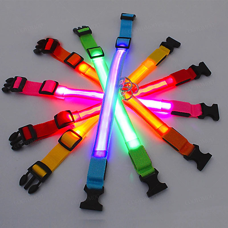 Rechargeable LED Collar