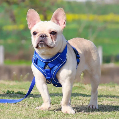 Adjustable No Pull Harness Leash Set