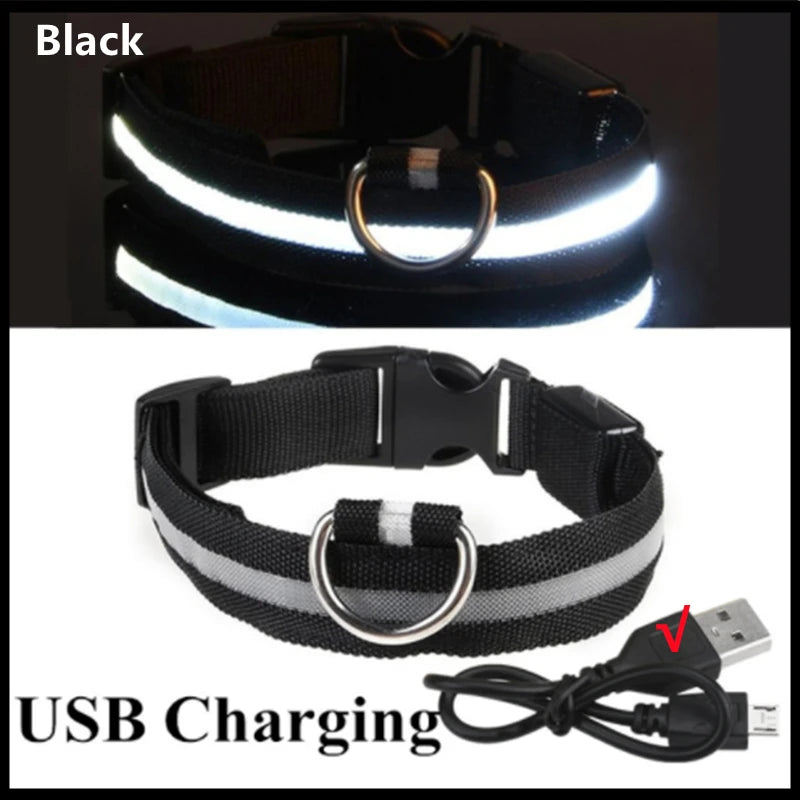 Rechargeable LED Collar