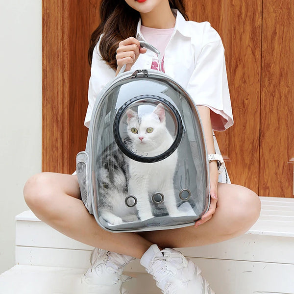 Breathable Transparent Backpack