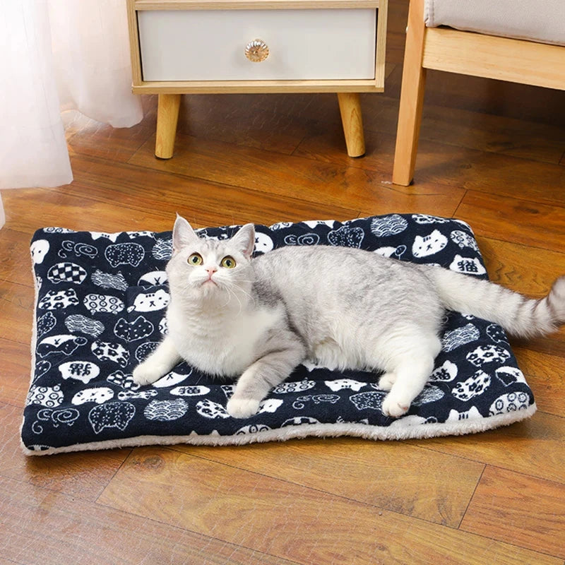 Thick Plush Mat