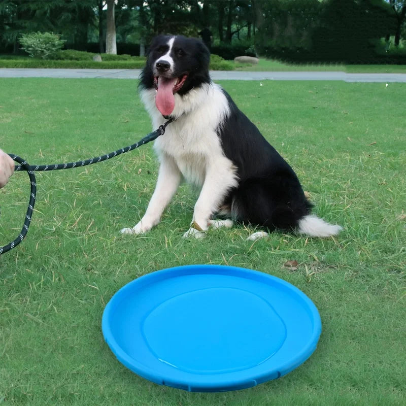 Silicone Flying Disc Toy