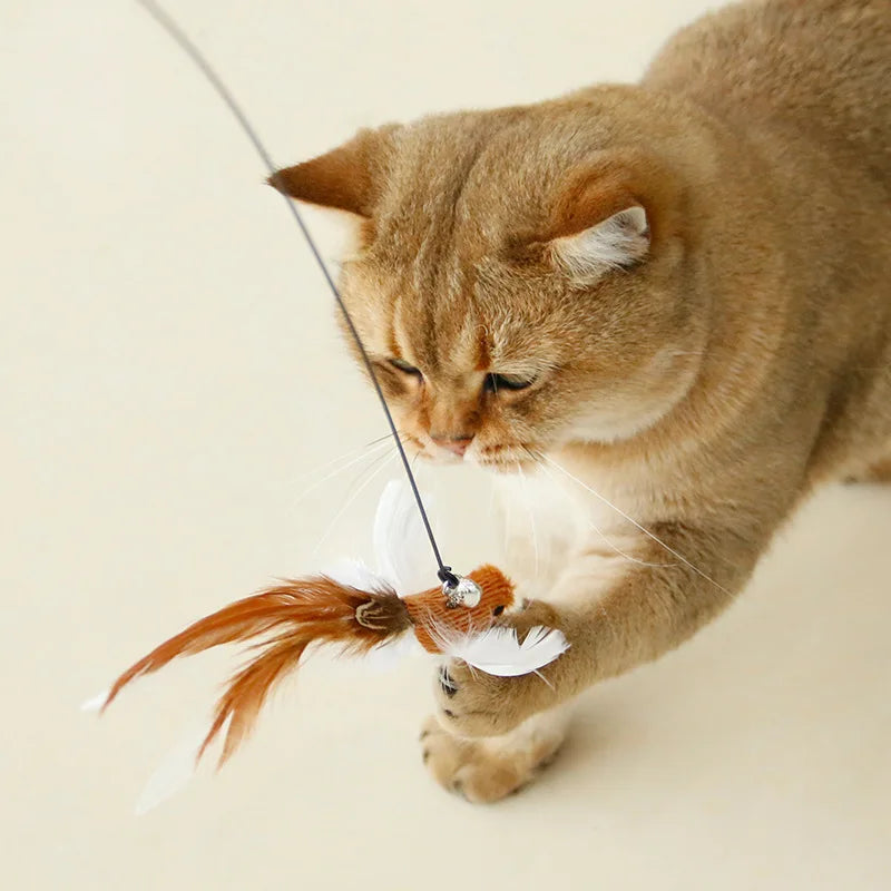 Handsfree Feather