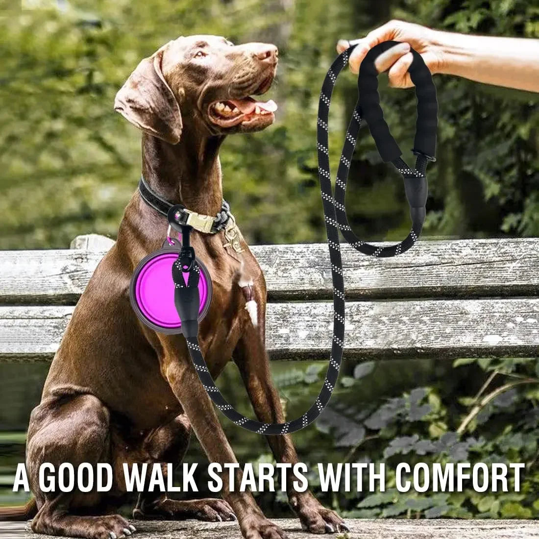 Strong Reflective Nylon Leash