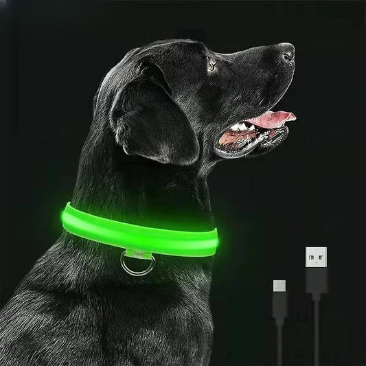 Rechargeable LED Collar