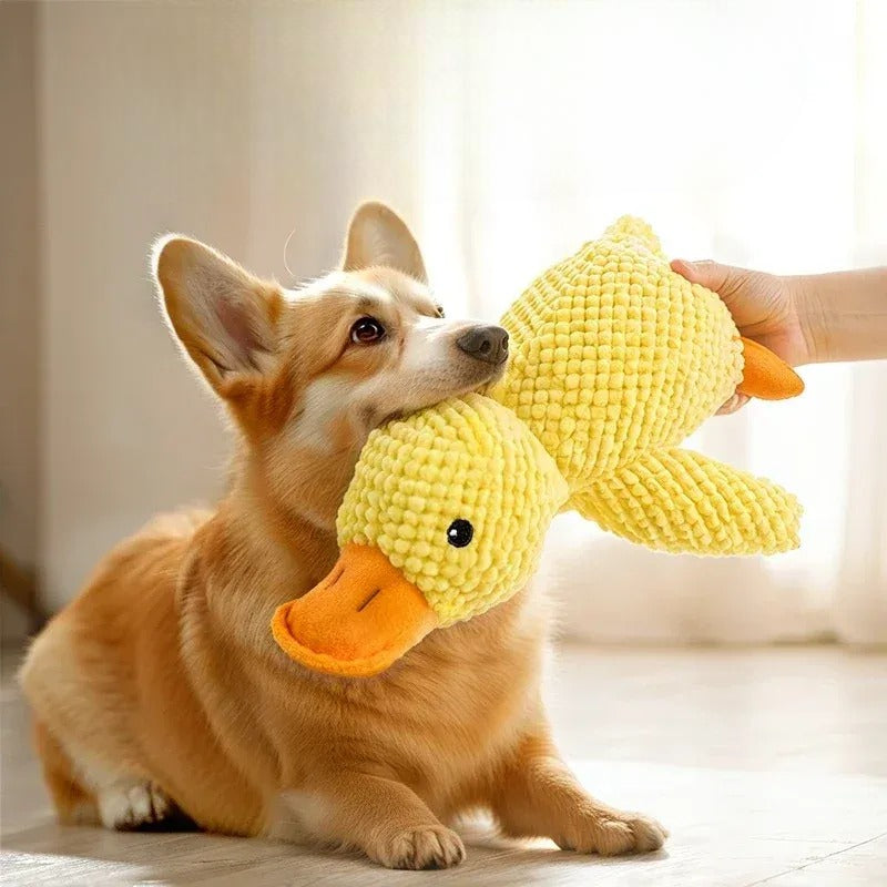 Plush Duck Toy